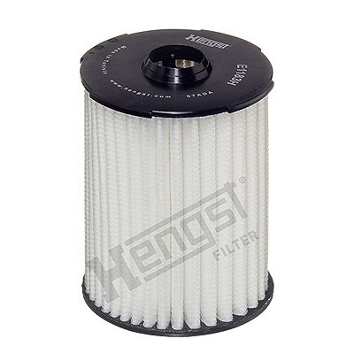 Hengst Filter Ölfilter [Hersteller-Nr. E1183HD776] für Fiat von HENGST FILTER