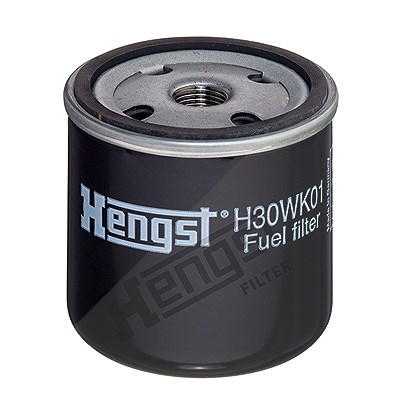 Hengst Filter Kraftstofffilter [Hersteller-Nr. H30WK01] für Ford von HENGST FILTER