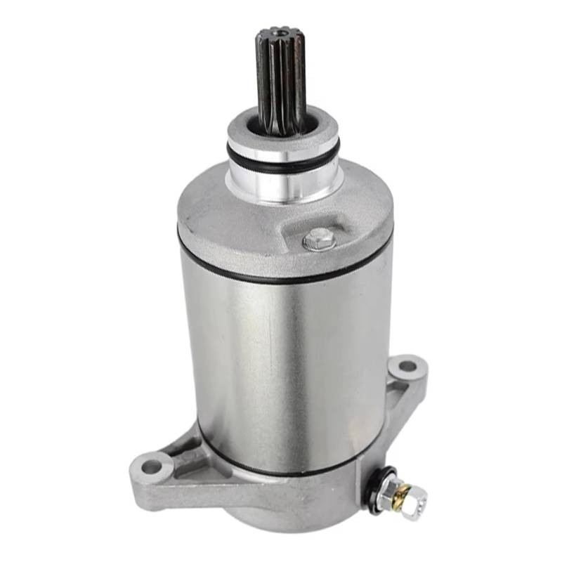 Anlasser Motor Für LTF250 Für LTF250F Für Quad Für Runner LT-F300F Für KingQuad Für Arctic Cat 250 300 10 Zähne Starter Motor 31100-19B00 Motorrad Starter Motor von HILLAR