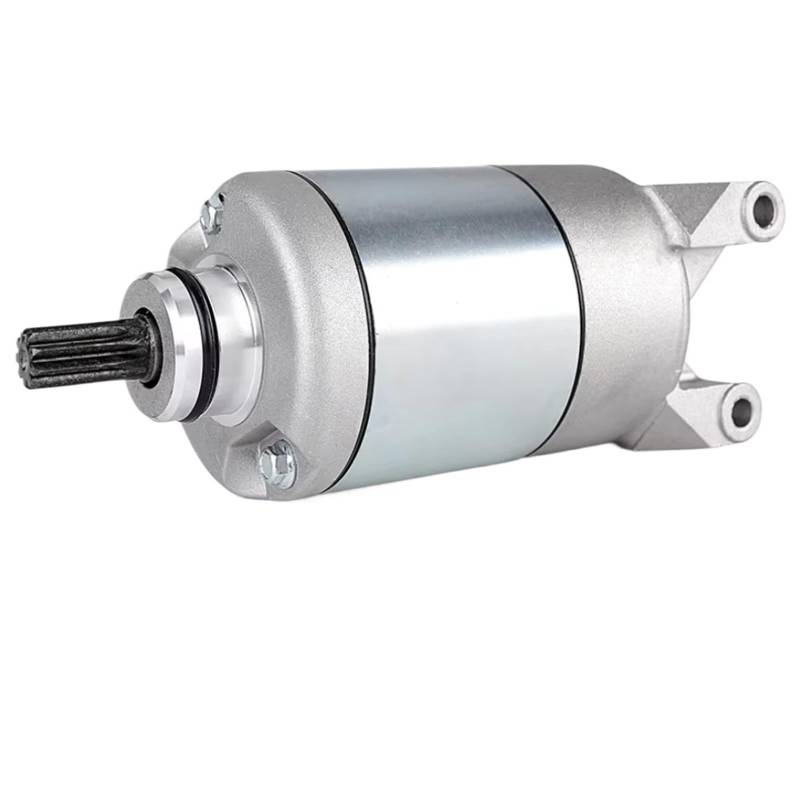 Anlasser Motor Für TT250R TT-R250 TT250R TT-R TT250R RAID TTR 250 TT 250R R250 YBR250 YS250 4GY-81890-00 Elektrische Starter Motor Motorrad Starter Motor von HILLAR