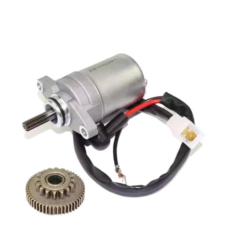 Anlasser Motor Für ZY100 RS100 Für RSZ100 149QMG RS 100 Für RSZ Für Jog 100 100cc Motorrad Roller Motor Elektrische Starter Motor Getriebe Motorrad Starter Motor von HILLAR