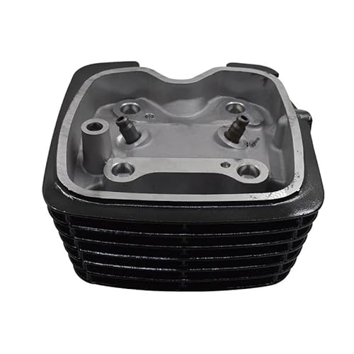 Kompatibler Zylinderkopf für CBF125 CBF 125 Vergaser GLH 125 E STORM GLH125 GLH125SHC D Motorrad(BLACK) von HJXcTRH