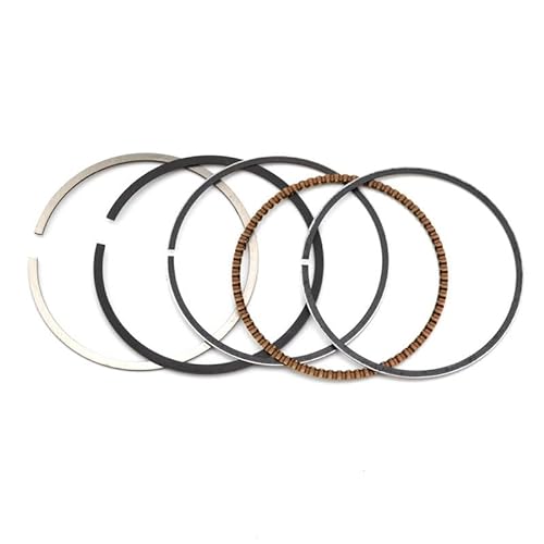 Motorrad-Kolben- und Ringsatz, kompatibel mit AN400 Skywave 400 DL650 SV650 DR350, Standardbohrungsgröße 83 mm, 84 mm(1 Set Ring 83 MM) von HJXcTRH