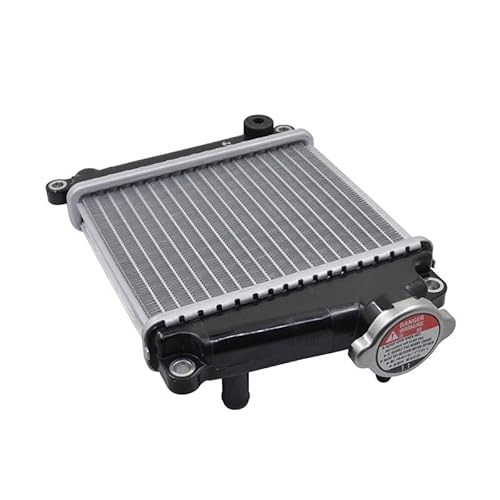 Replacement Motorcycle Radiator Assembly Compatible With LEAD 110 NHX110 2008-2015 von HJXcTRH