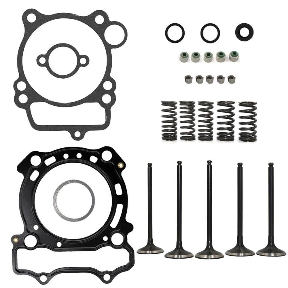 Einlass-Auslassventil-Dichtungsfeder-Splinte-Dichtungssatz, kompatibel mit YZ250F WR250F 2001–2013 von HNJFXCRO