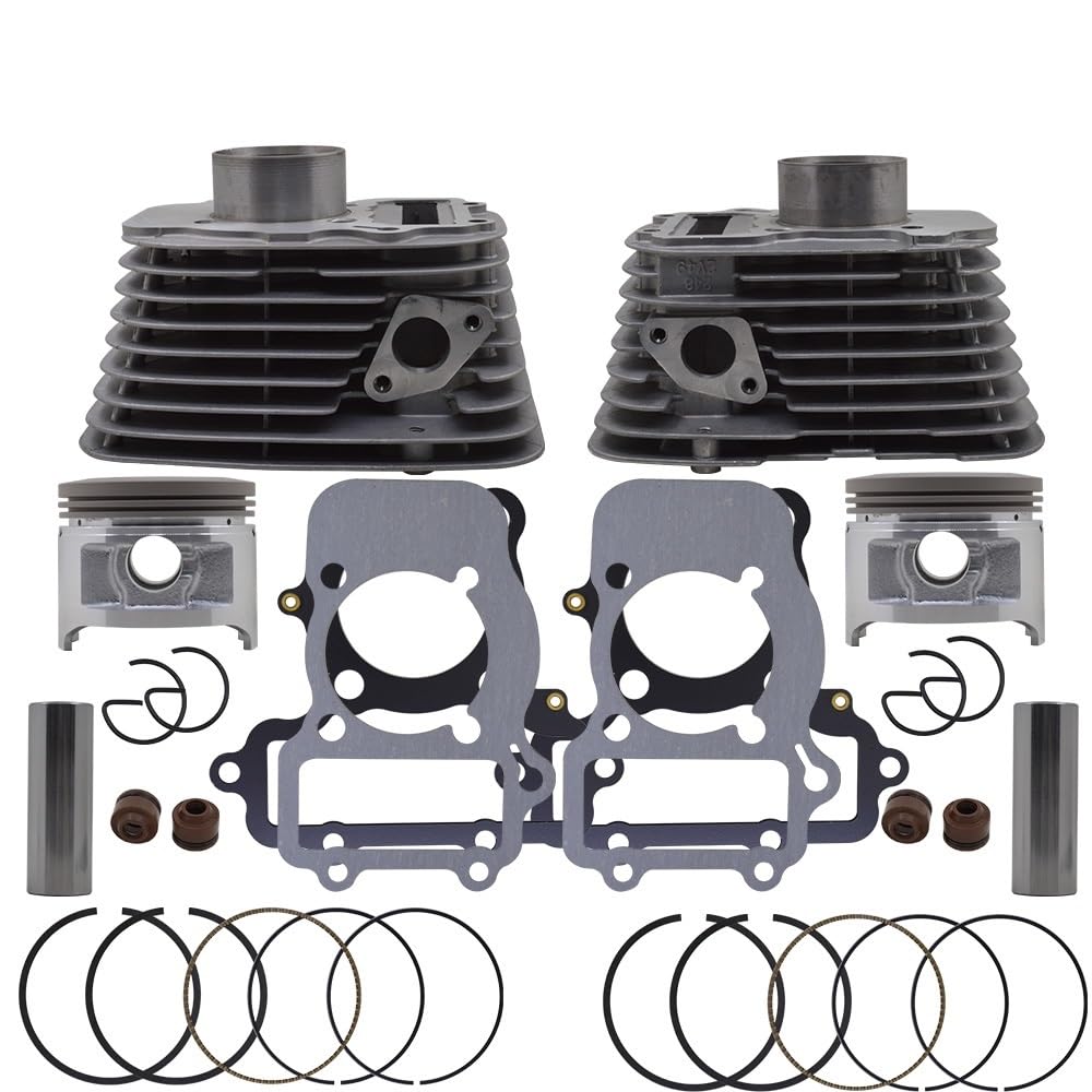 Kompatibler Zylindersatz für XV250 V 250 Route 66 QJ250-H QJ250-L QJ250-J 250cc 49MM Motorrad von HNJFXCRO