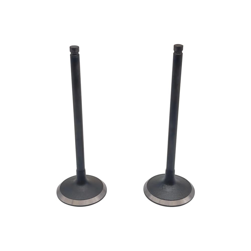 Kompatibles Ersatz-Einlass- und Auslassventil für Odes 800 Assailant D2 D4 X2 X4 21040100701 21040100601(2PCS INTAKE VALVE) von HNJFXCRO