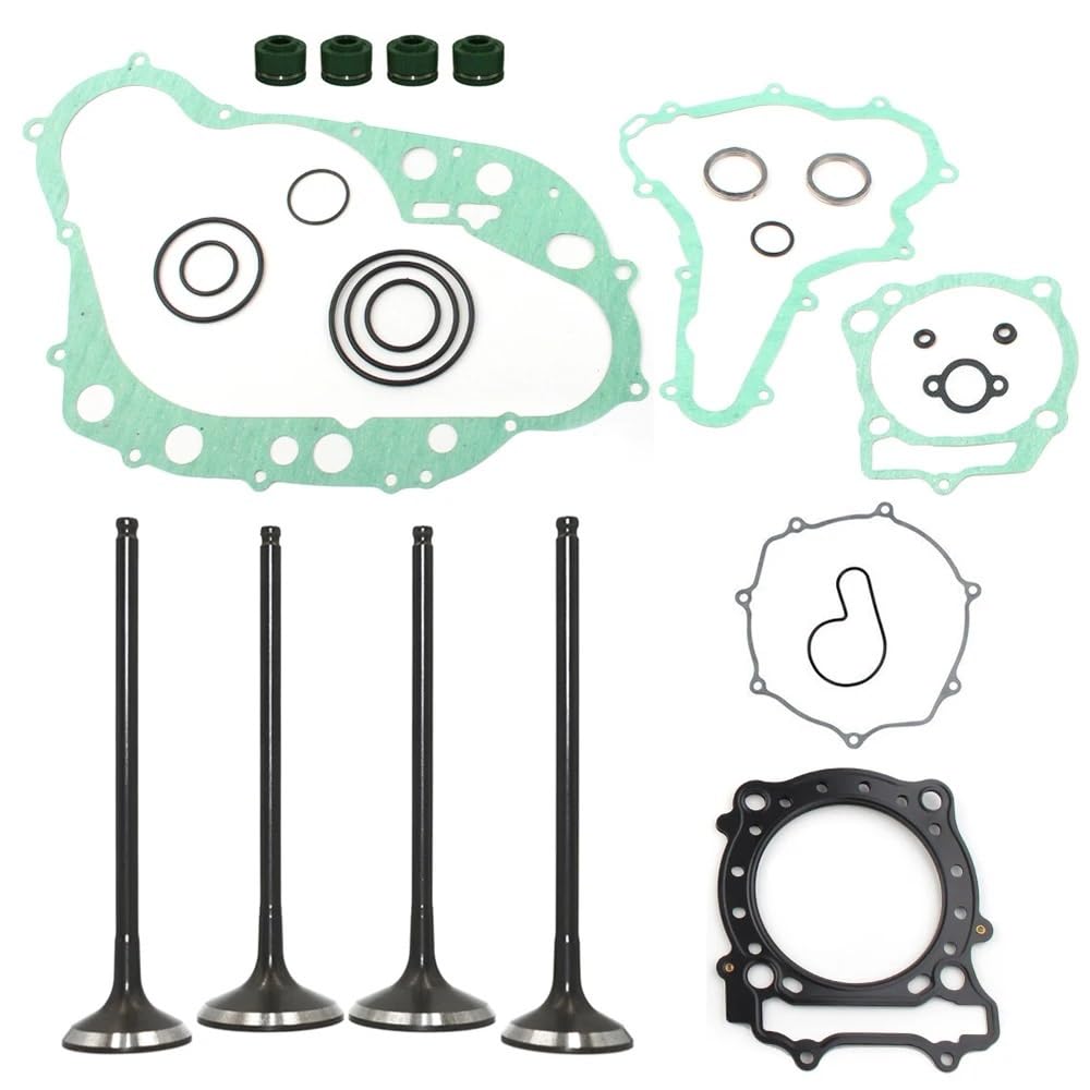 Motorzylinder-Einlass-Auslassventil-Stammdichtungs-Dichtungssatz, kompatibel mit Quadracer 450 LTR450 LTR 450 2006 2007 2008 2009 von HNJFXCRO