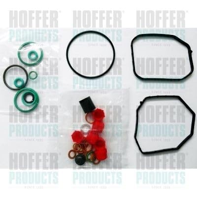 HOFFER Dichtungssatz Einspritzpumpe 8029509 für Golf IV Schrägheck (1J1) von HOFFER