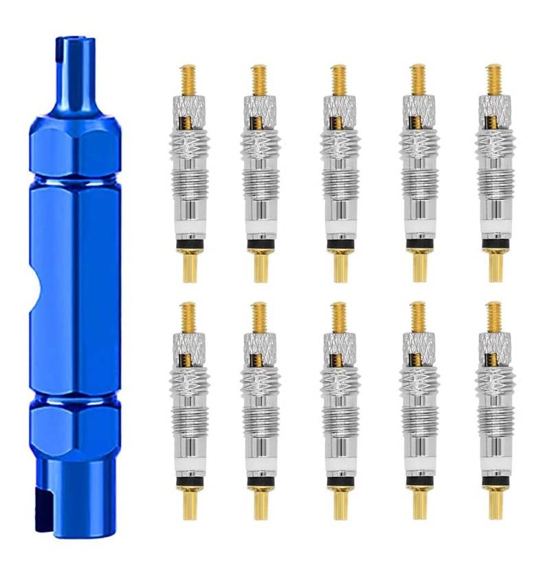 HOUSON 11 Stück Fahrradventil Adapter, Sclaverandventil Französisches Ventil SclaverandVentil Ersatz Set mit Ventileinsatzentfernungswerkzeug zur Fahrradreparatur von HOUSON