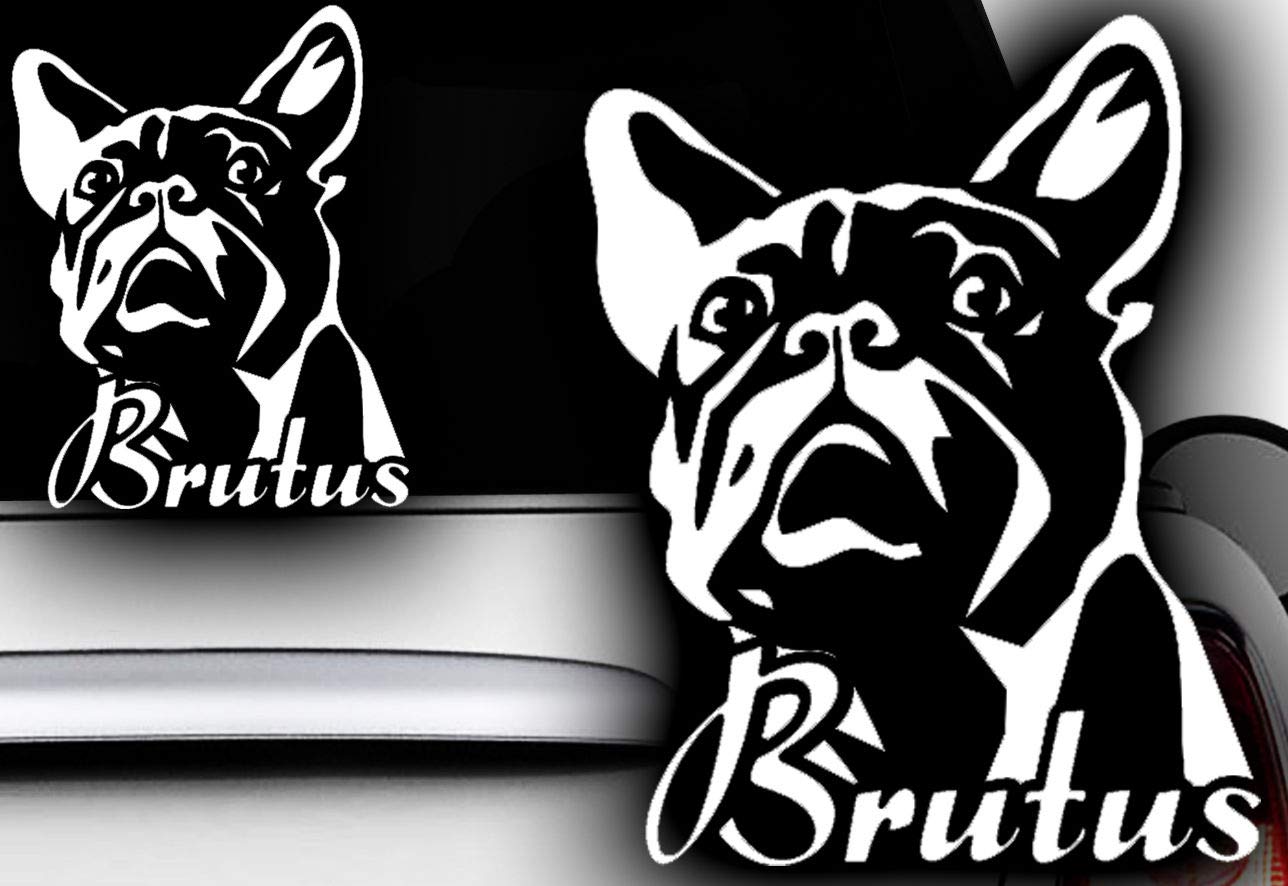 HDmirrorR HR-WERBEDESIGN 1x Wunschnamen 13x10cm Name Aufkleber Französische Bulldogge Bulldog Bully Auto von HDmirrorR