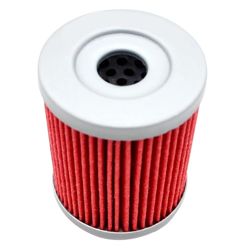 Kompatibel mit LT160 LT250 LT230E LT160E LT250S LT300E LT230S LT230G LT250E 160 Motorrad-Ölfilter(1 Piece) von HREZMJ