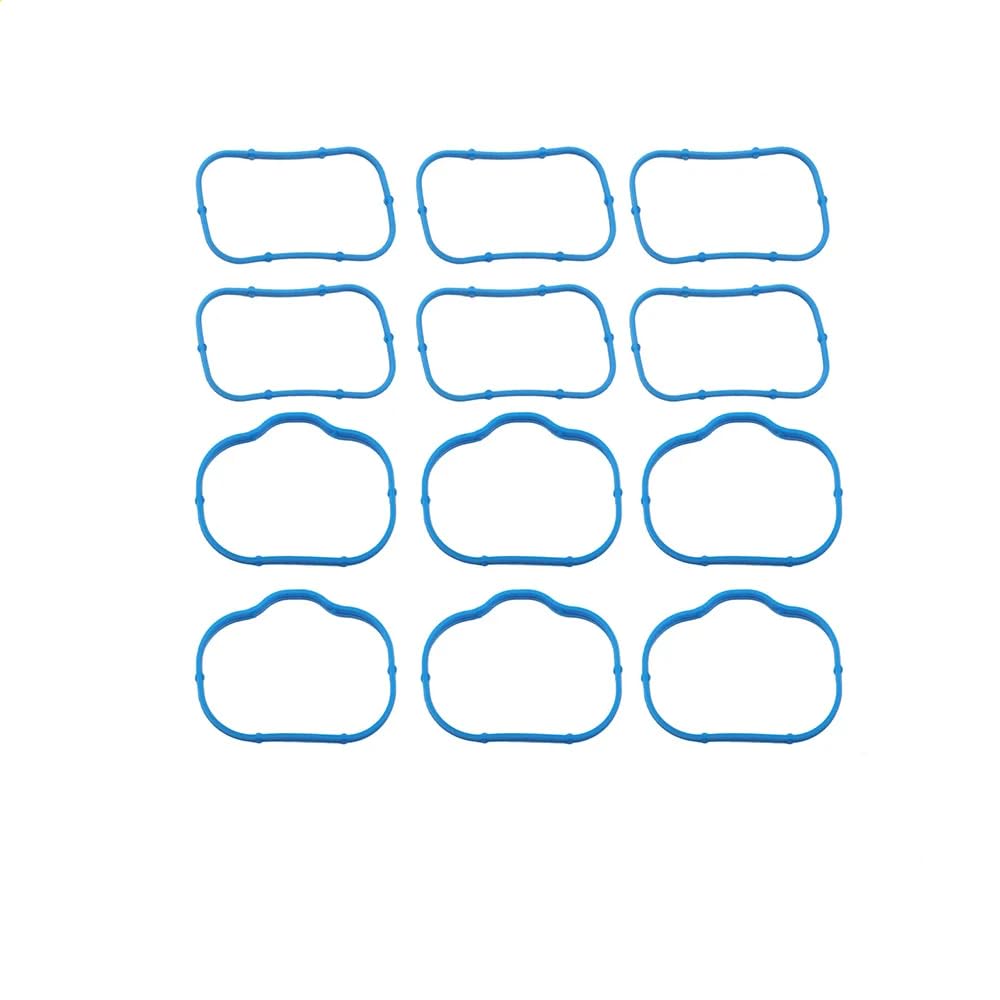 12X Ansaugkrümmer-Dichtungssatz oben unten, kompatibel mit 3,6 l 5184331AC 184562A von HRNJX