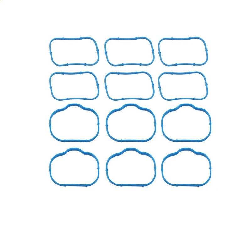 12X Ansaugkrümmer-Dichtungssatz oben unten, kompatibel mit 3,6 l 5184331AC 184562A von HRNJX