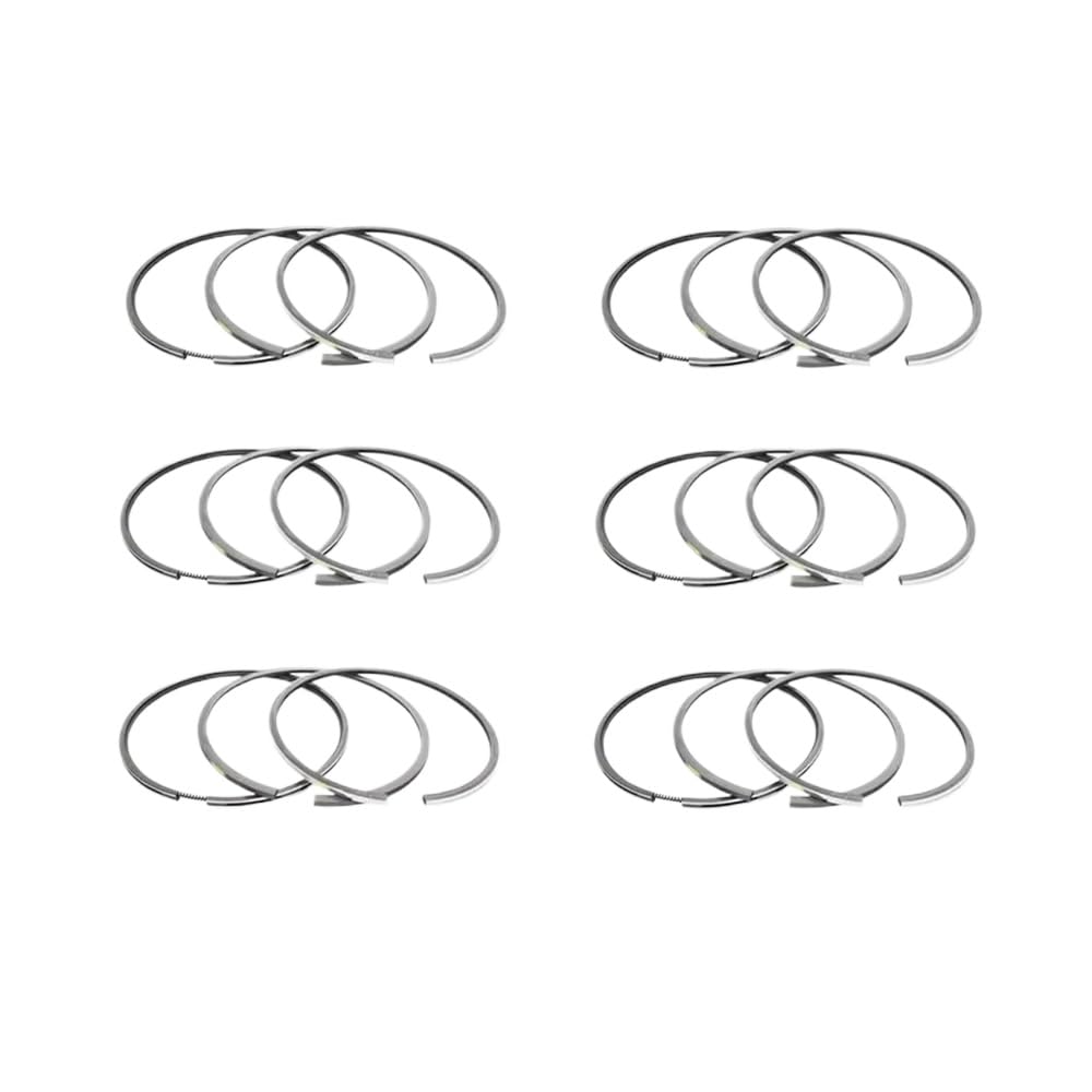 96-mm-Kolbenringsatz 3,6 l, kompatibel mit 2C4550 121080000100 42155CP von HRNJX