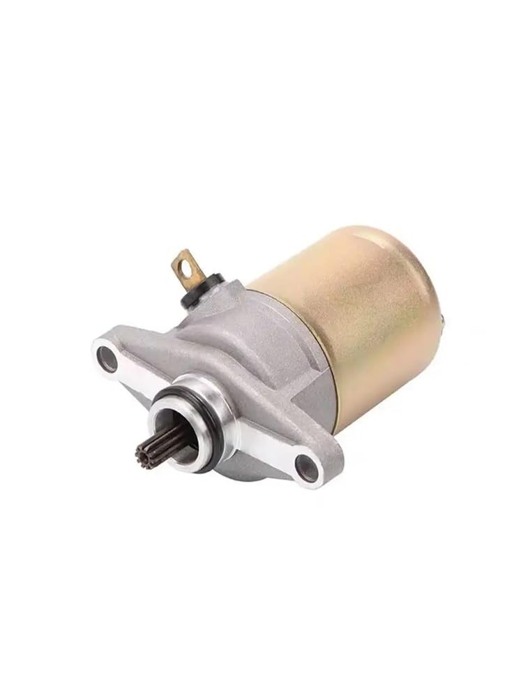 HRNJX 10 Zähne elektrischer Anlasser für GY6 50cc 60cc 48cc 139QMB Motor, kompatibler Ersatz(Starter Motor) von HRNJX