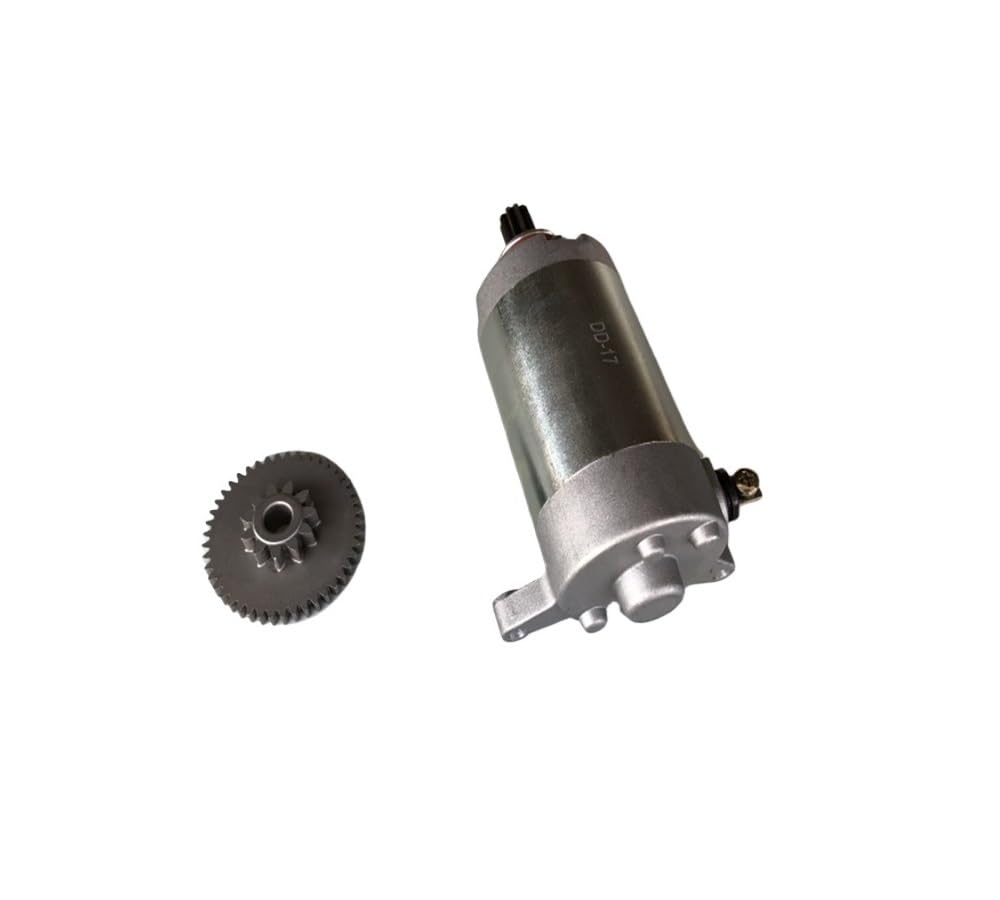 HRNJX Kompatibler Anlasser für 125cc-Motorräder YBR125 YB125 YB125E YB125Z JYM125(Motor and Gear) von HRNJX