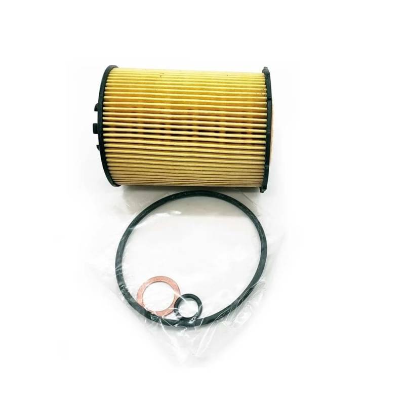 Leistungsölfilter kompatibel mit E60 E63 E65 E66 E70 550i 650i 750Li 760i X5 4.8 6.0L Modelle 11427527957 11427542021 11427521008 von HRNJX