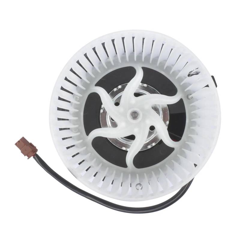 AP02 Heizung fan gebläse motor fan motor Kompatibel for Renault Twingo ICH C06 1993-2007 1,2 L von HRPPFGFWP