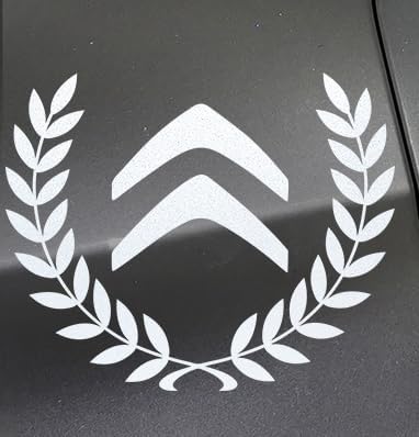 HTBFBDZJ Auto Aufkleber für Citroen C3L C3XR C4L C6 C4 Auto Karosserie Buchstaben Emblem Auto Body Aufkleber Abzeichen Sticker Logo Dekoration Autozubehör von HTBFBDZJ