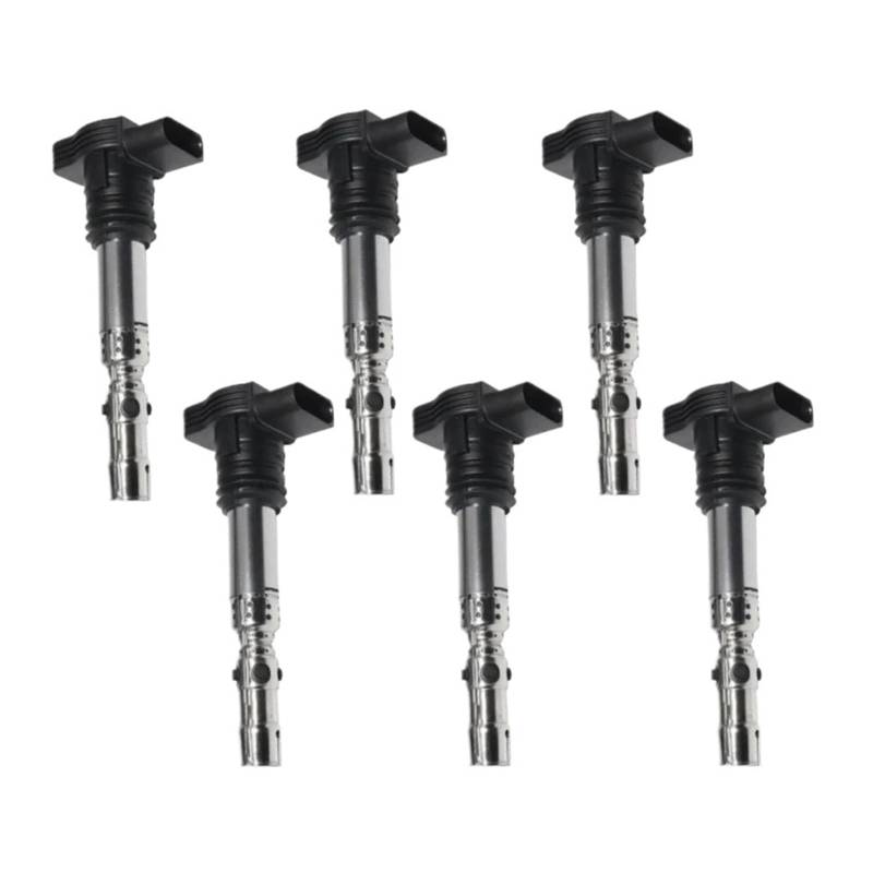 6 PCS Auto Zündspule Kompatibel for AUDI S4 2004/ VW PHAETON 2004 2005 2006 Kompatibel for TOUAREG 2004 2005 2006 2007 V8-4,2 L 06A905115A 06B905115H von HUIFFNG