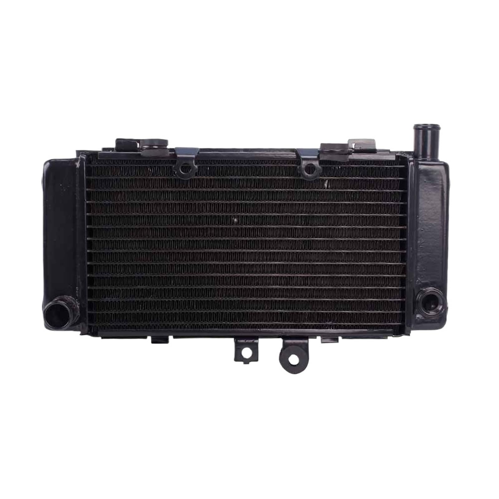 HUISI Kühler Kühler Kühlwasser Tank for CB250 Hornet250 Hornet CB 250 1997 1998 1999 2000 2001 2002 2003 2004 2005-2008(Radiator) von HUISI