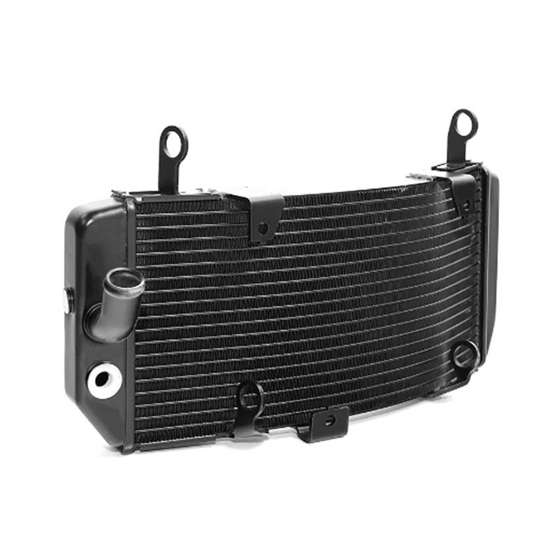 HUISI Motorradmotor-Kühler, Wasserkühlsystem, passend for TMAX530 XP530 2017–2019 2018 T-MAX XP 530 Tmax530, Wassertank-Zubehör von HUISI