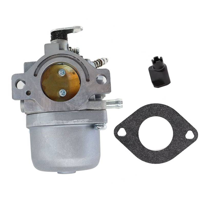 HURI Vergaser mit Dichtung für Briggs & Stratton 799728 498027 498231 499161, 11 PS, 12 PS, 13 PS, 14 PS, 15 PS Motoren von HURI