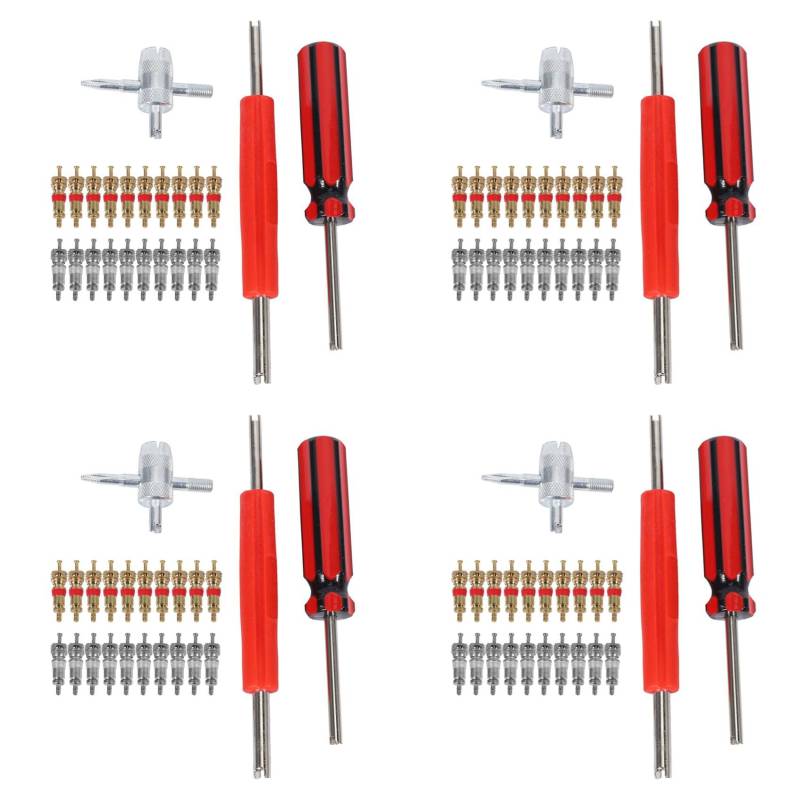 HVVENTY 4 x Ventilkern-Werkzeug-Set, 80-teilig, Ventilkerne, 4-Wege-Ventilwerkzeug, Dual-Ventilkernentferner, Reifenreparaturwerkzeug von HVVENTY