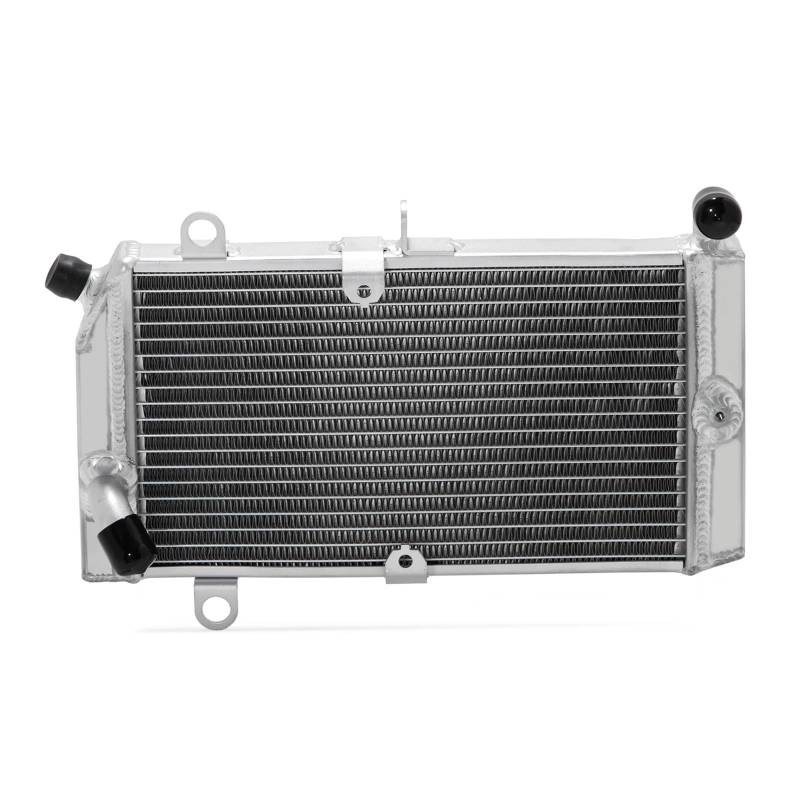 Motorkühler Kühlwasserkühler for CMX 300 20 21 22 23 Silver Wing FJS 400 09 10 11 12 13 14 15 16 FJS 600 01-16(FJS400 09-16) von HXRAXINWN