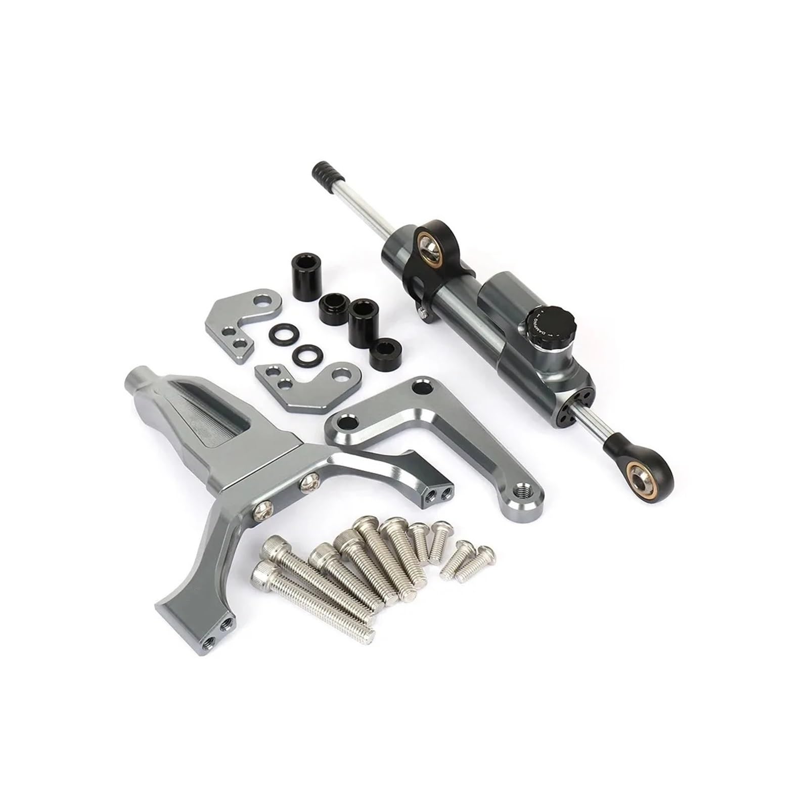 Motorradzubehör Stabilisator Lenkungsdämpfer Montagehalterung Kit Dämpfer kompatibel mit MT-09 MT09 MT 09 Mt09 2024 2025(Titanium) von HXYLS