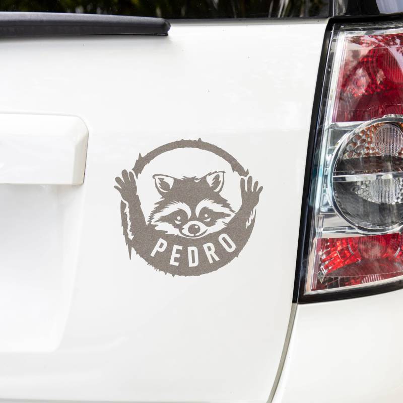 Autoaufkleber, Pedro Tiktok Star, Waschbär Aufkleber, Fenster Sticker (Silber) von HandmadeStickers