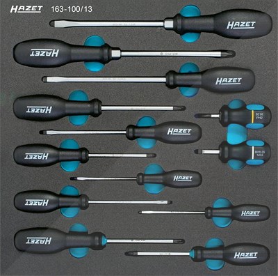 Hazet Schraubendreher Satz Pozidriv PZ, Kreuzschlitz PH, Schlitz 13-tlg [Hersteller-Nr. 163-100/13] von Hazet