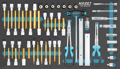 Hazet Werkzeug Modul „Safety-Insert-System“ [Hersteller-Nr. 163-603/52] von Hazet