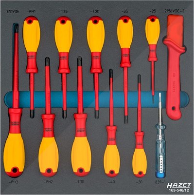 Hazet Schraubendreher Satz - schutzisoliert - Schaumstoffeinlage 12-tlg [Hersteller-Nr. 163-546/12] von Hazet