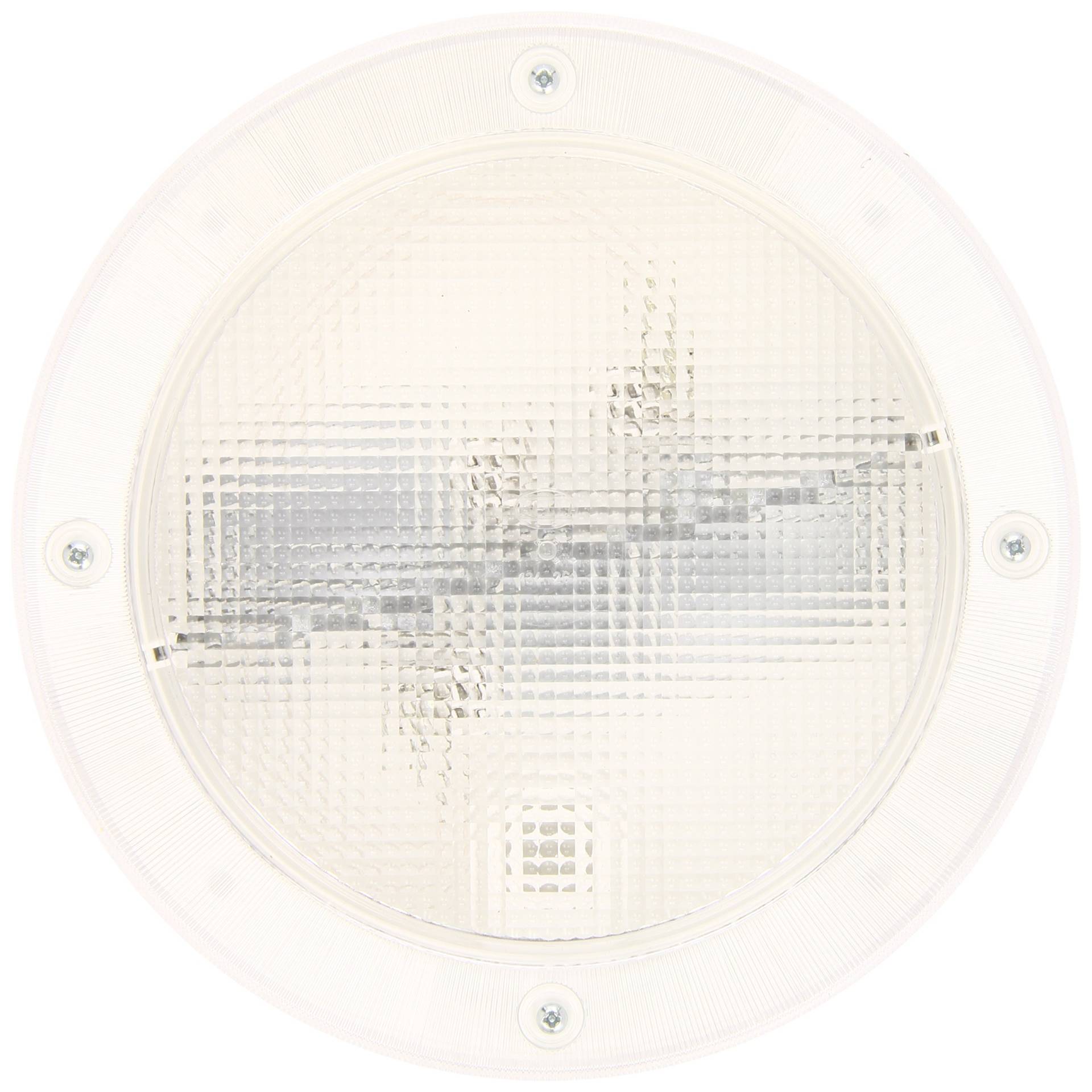 HELLA Innenraumleuchte - Halogen - 12V / 24V - 10W - Einbau/Schraubanschluss - Lichtscheibenfarbe: glasklar - Innenraum - Menge: 1 - 2JA 005 590-001 von Hella