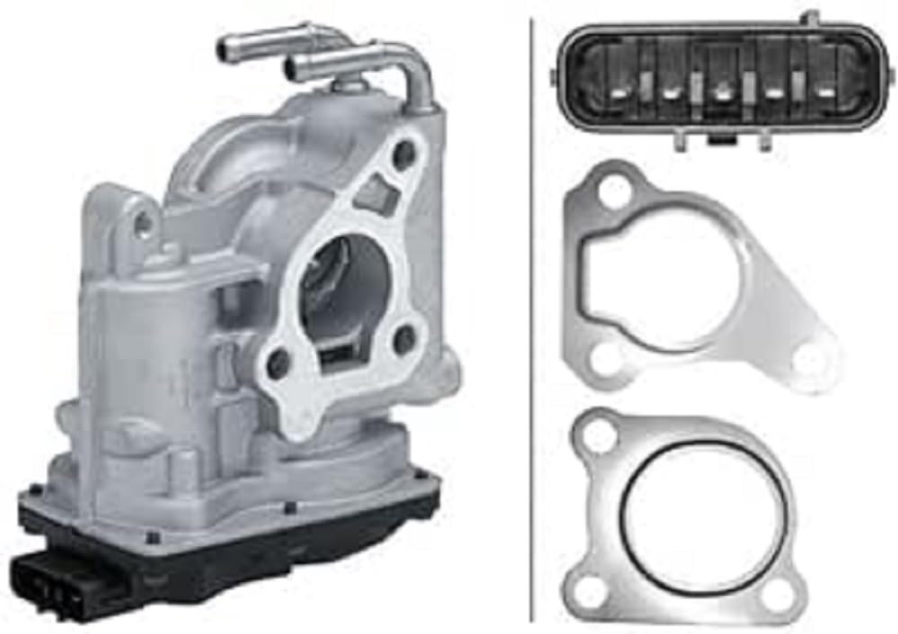 HELLA 6NU 014 864-571 AGR-Ventil - 12V - elektrisch - 5-polig - mit Dichtringen von Hella