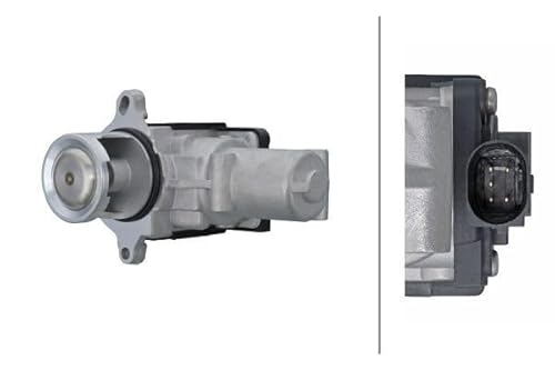 HELLA 6NU 014 865-761 AGR-Ventil - 12V - elektrisch - 5-polig - mit Dichtung von Hella