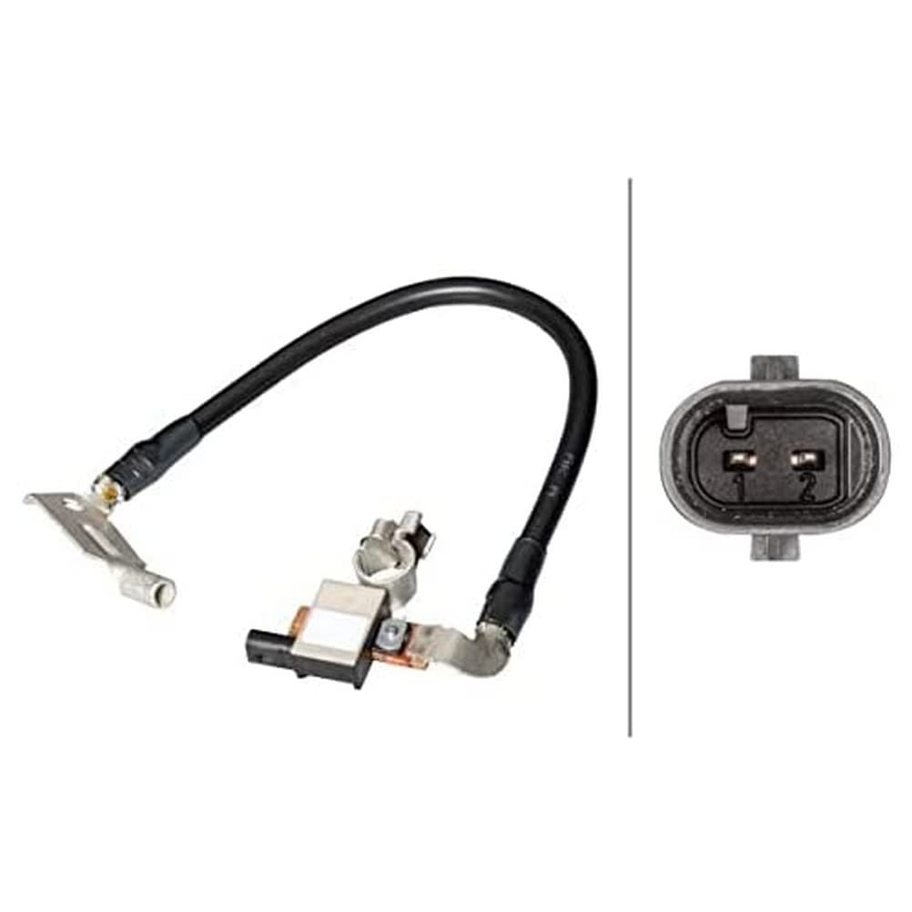 HELLA 6PK 013 288-911 Sensor, Batteriemanagement - 12V - geschraubt - Kabel: 365mm von Hella