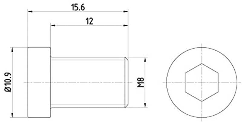 HELLA PAGID 8DZ 355 209-091 Schraube, Bremsscheibe PAG0009 - 15.6mm - M8x1,25 - Innensechskant von Hella