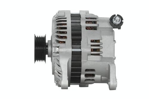 HELLA 8EL 011 713-191 Generator/Lichtmaschine - 14V - 100A - für u.a. Subaru Forester (SG_) von Hella