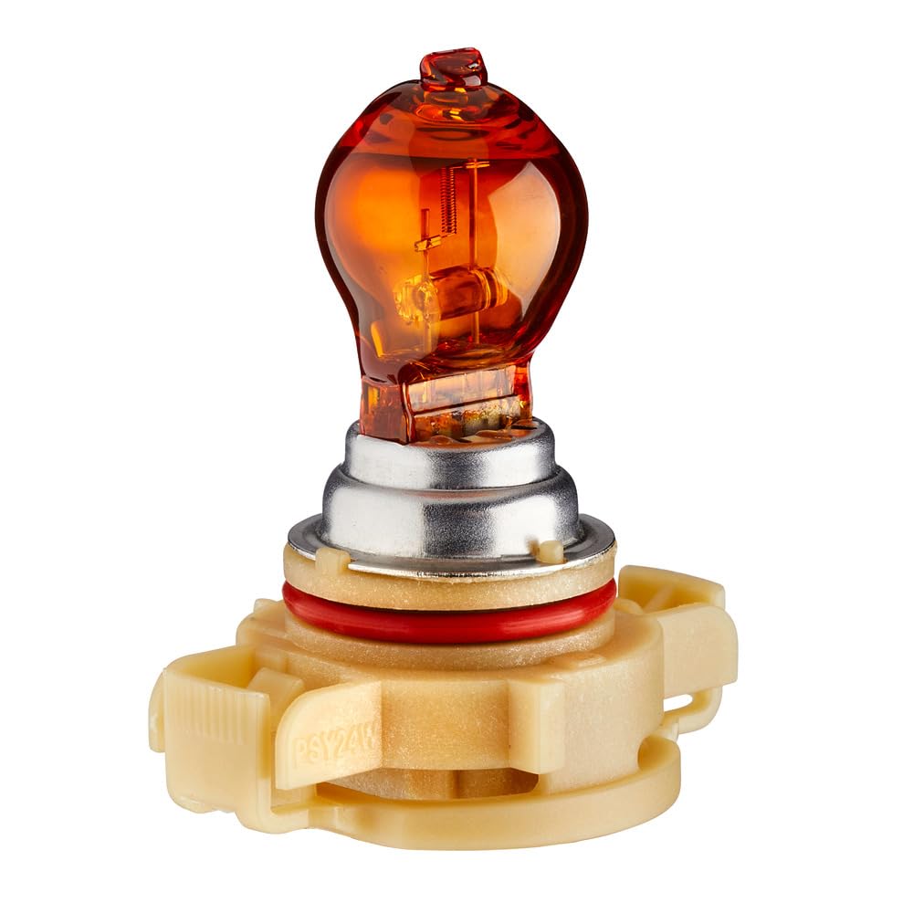 HELLA Halogen Glühlampe - PSY24W - Standard - 12V - 24W - Sockelausführung Glühlampe: PG20/4 - Schachtel - Menge: 1-8GA 223 569-031 von Hella