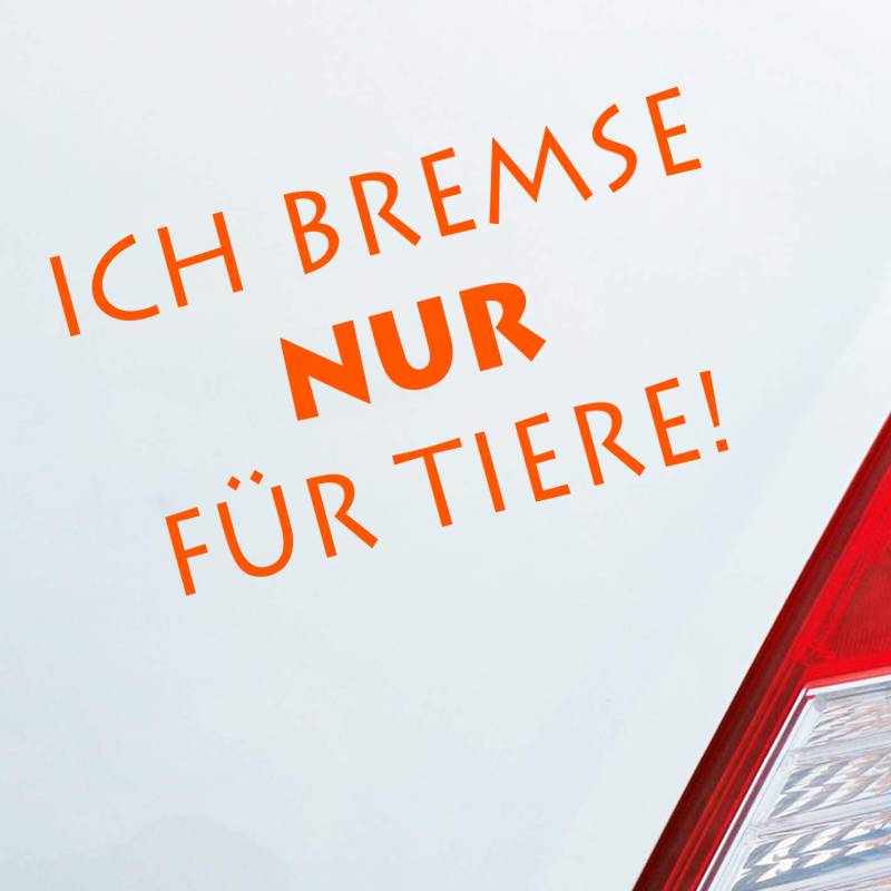 Hellweg Druckerei Ich Bremse nur Zubehör passend für Tiere Animal Fun Tier Auto Aufkleber Sticker Heckscheibenaufkleber von Hellweg Druckerei