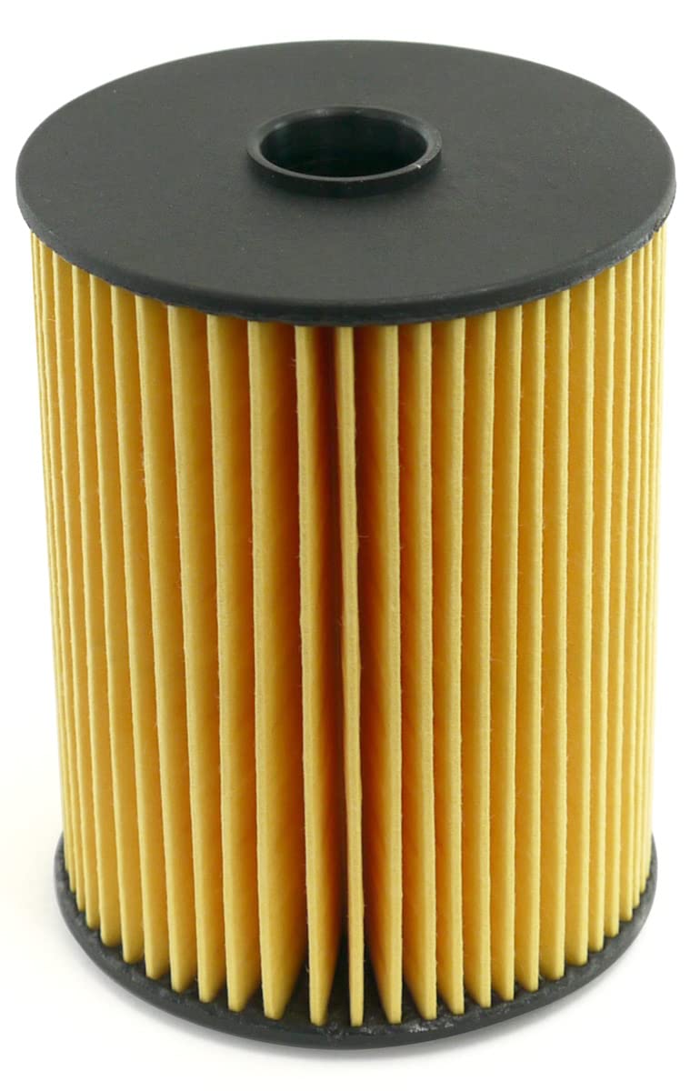 HENGST Kraftstofffilter Type E489KP D461 - Kraftstofffilter-Einsatz, Dichtungssatz für PKW - Filter für Kraftstoff, Filter für Autos von Hengst