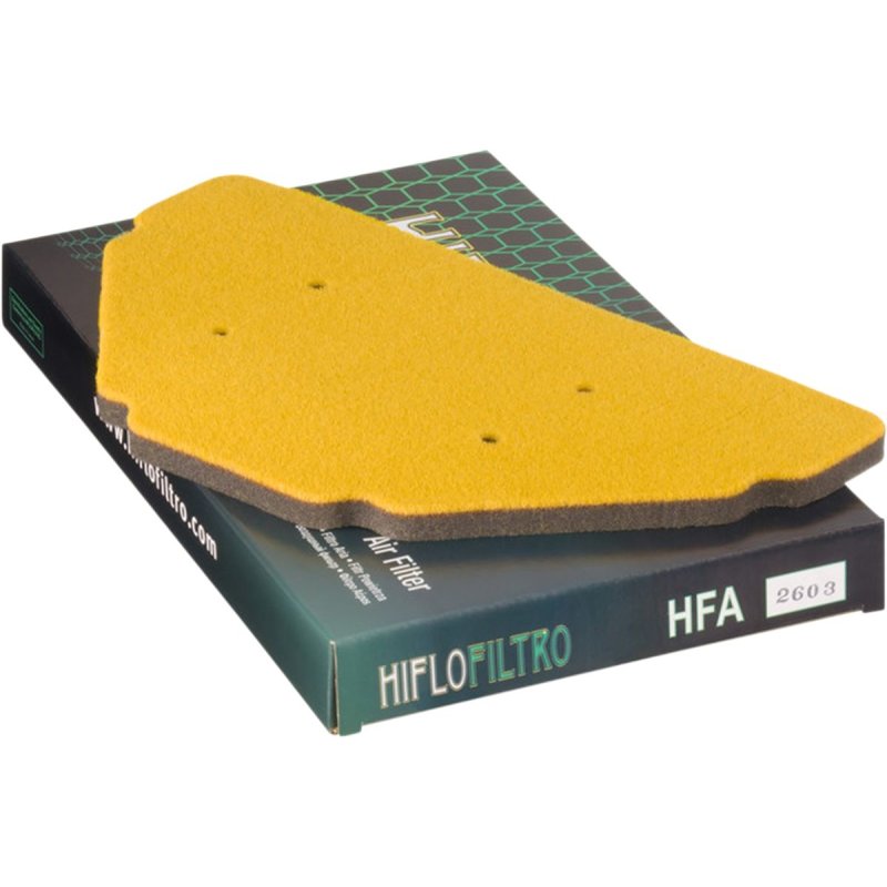 Hiflo Filtro Luftfilter 10111209 von HifloFiltro