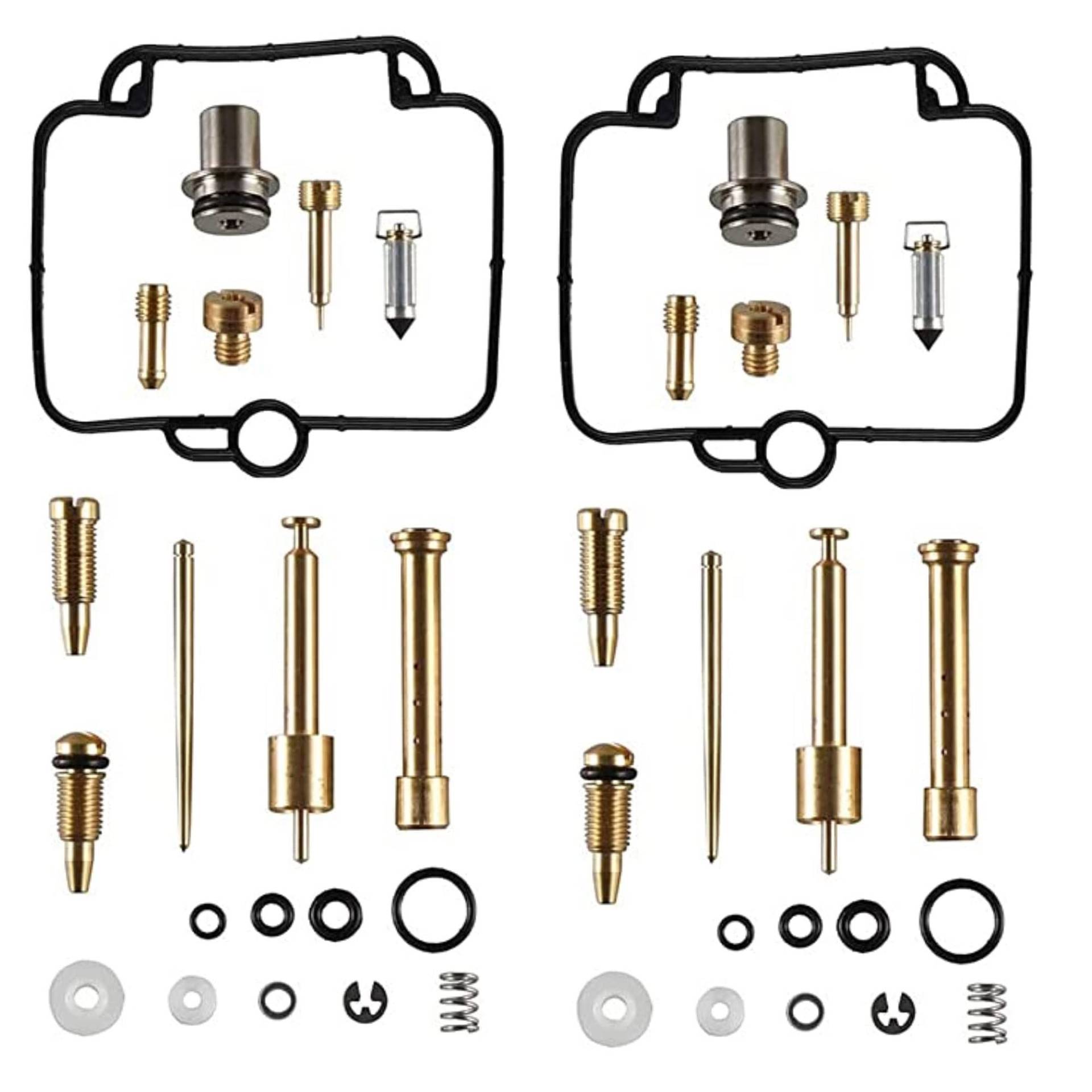 Hippotech 2er Pack Vergaser-Reparatur-Umbausatz für Suzuki GS500E GS500 GS 500 E Vergaser-Ersatzsatz für B-M-W F650 von Hippotech