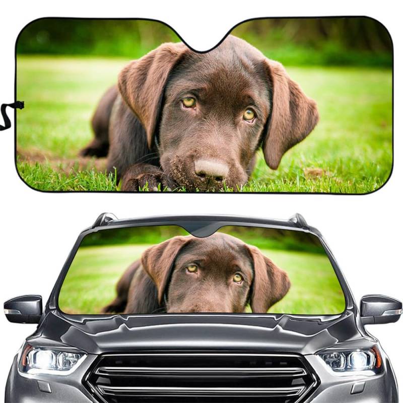 Hixingo Auto Frontscheibe, Sonnenschutz für Windschutzscheibe, 3D Tierdruck Frontscheibenabdeckung, Faltbares Design Auto Sonnenschutz, UV-Schutz für Auto (brauner Hund) von Hixingo