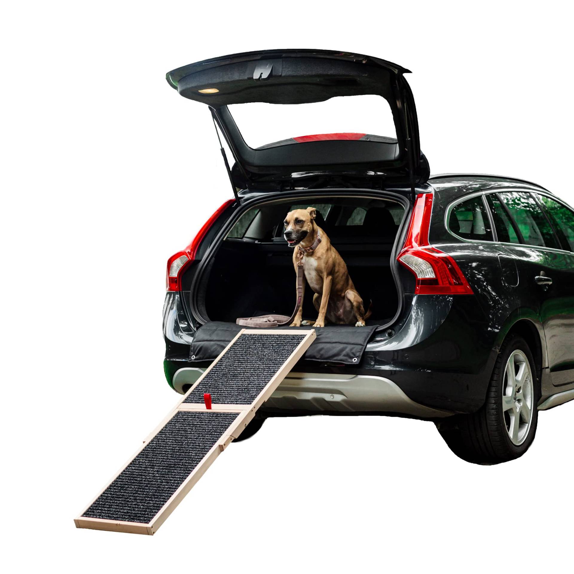 Holtaz Hunderampe Auto Klappbar rutschfest Hundeautorampe Kofferraumrampe Hundetreppe für Haustiere aus Holz Tierrampe Einstiegshilfe für Kofferraum 152x39cm von Holtaz