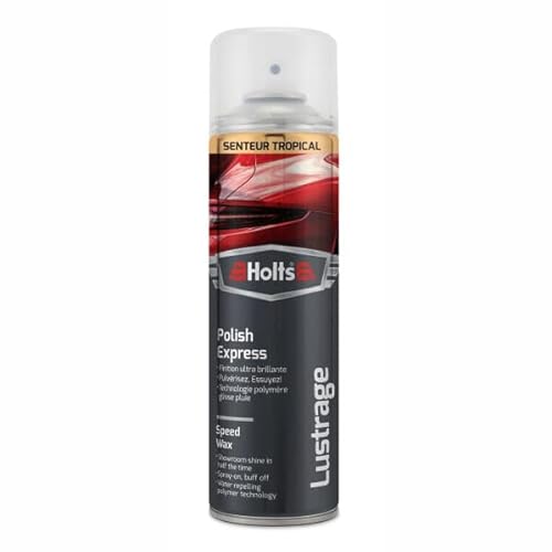 Holts Polnischer Express 500ml von Holts