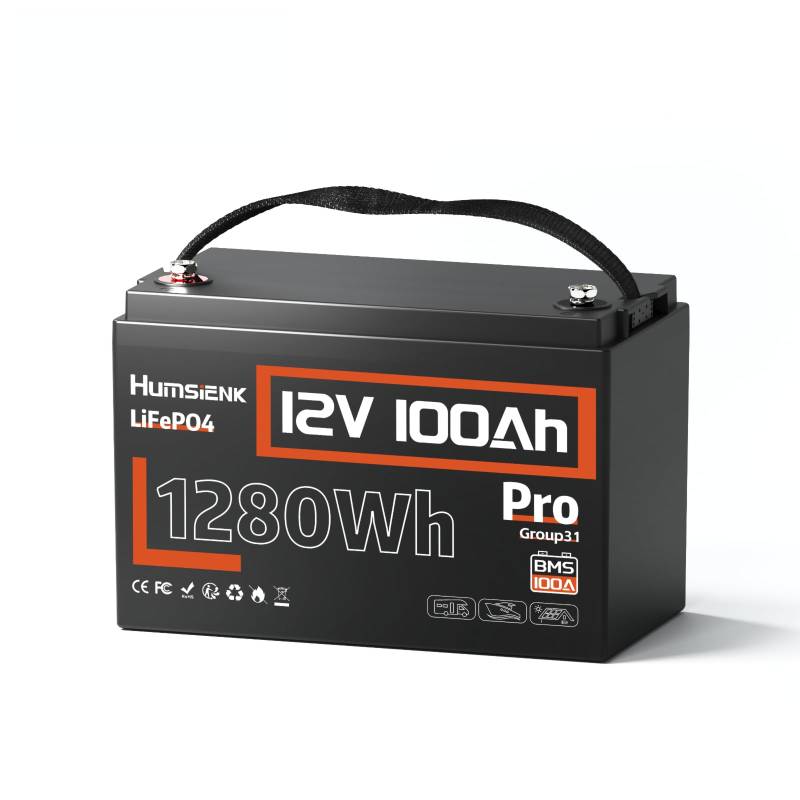 12V 100Ah Pro LiFepo4 Batterie, Gruppe 31 von HumsiENK